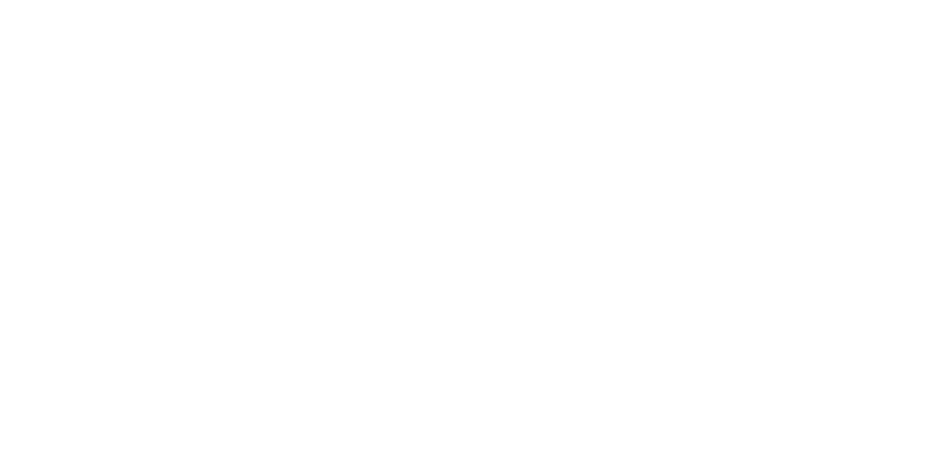 Fittheory